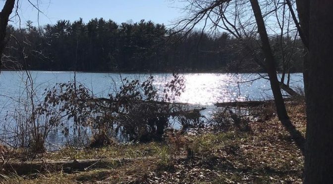 Read Our Latest Newsletter